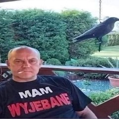 samelodygiwtwejpace4093