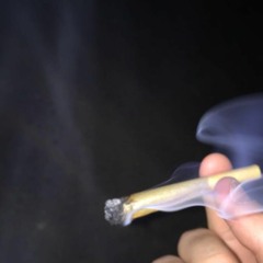 bxdnar