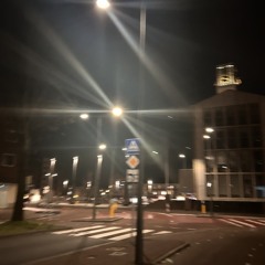Merel06v