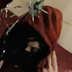 LOKIEF