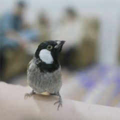 فـاطـمــة🌻