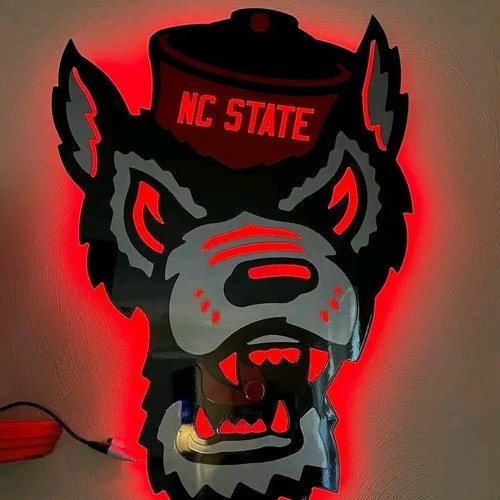 NCSU RULES’s avatar