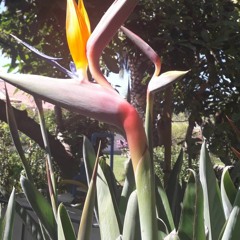 Maria Jesus Gonzalez