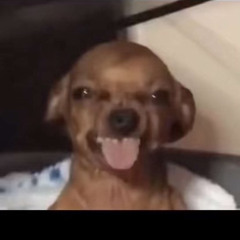 Sam