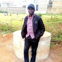 LightBox Construction