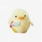 pato