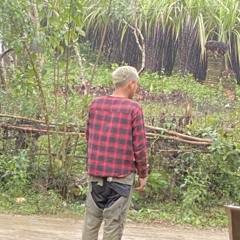 Quyên Bùi văn