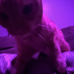 Leah