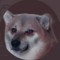 Memedog