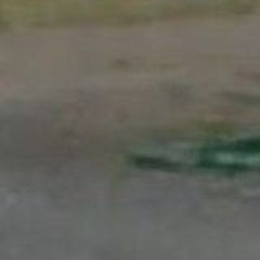 occvltvane