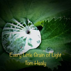 Tom Healy