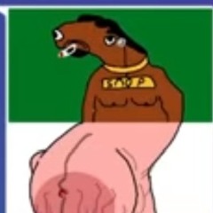 The1TrueIdiot
