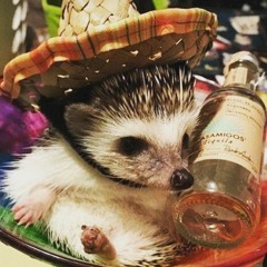 AOT