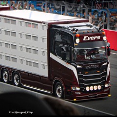 Filip.v8