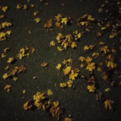 Moony's headphones 🎧