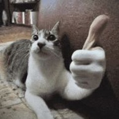 Meowmeow Kouskoumpekaki (Akitoya guys am I right)