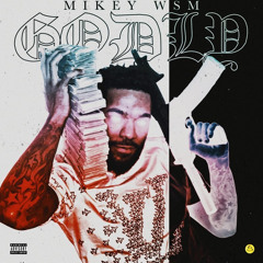 Cannon Beatz - Mikey_Allegheny Theme