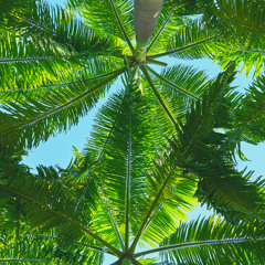 Stream 時には昔の話を 加藤登紀子 By Ayako Taniguchi Listen Online For Free On Soundcloud