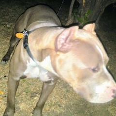 adryend.unlap@ousd.org