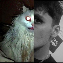 rootface