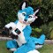 MadamGlitchChanine3🐺🤍💙