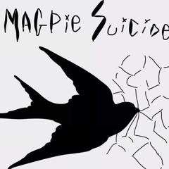 Magpie Suicide