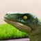Delta the Velociraptor (B.O.S.)