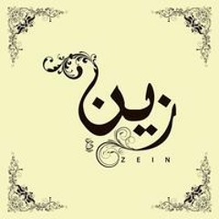 Om Zain Ahmed Zain