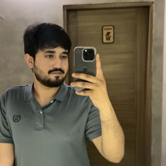 Irtaza Hassan Shah