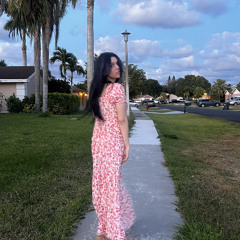 Lisuan Torres