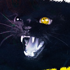 Gatos Negros