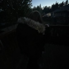 takeablinker._