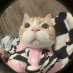 Guppy