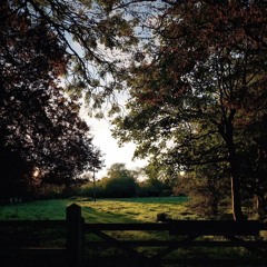 آية الطنْطاوي