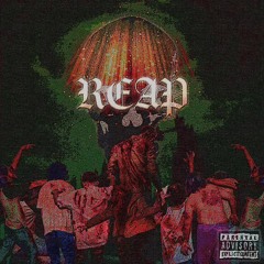 1reap