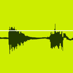 Bendigo Experimental Electronic Program