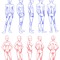 Body Rotation