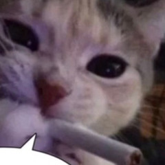 나쵸님입장