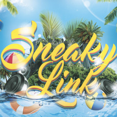 SNEAKY LINK POOL PARTY