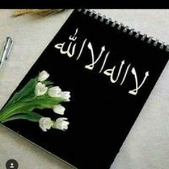 Mostafa Frrag Elmohamady