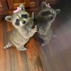 <3