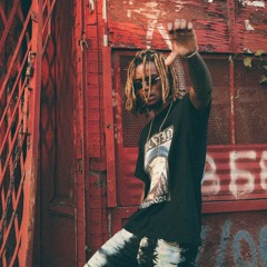 ˚✧DOGSTAR KRUTO☆༄