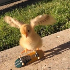 PäTrîcK