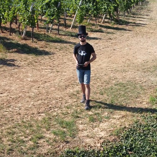 Bamboora & Beatjunkz - B*tches In Money Maker ( Vyro Mashup )" Free Downald "