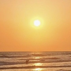mellowyellow
