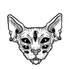 ØLLÎ