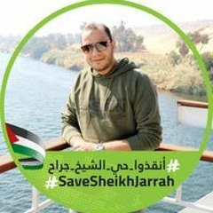 Alaa Eldeen Fouad