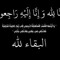 طارق عمرو