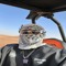 McQueen