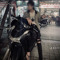 Tien Anhh